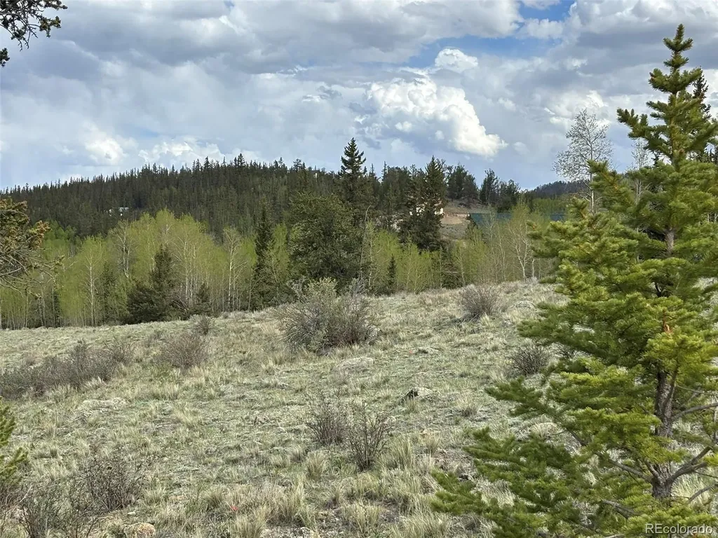 66 Chestnut Lane Como CO 80432
