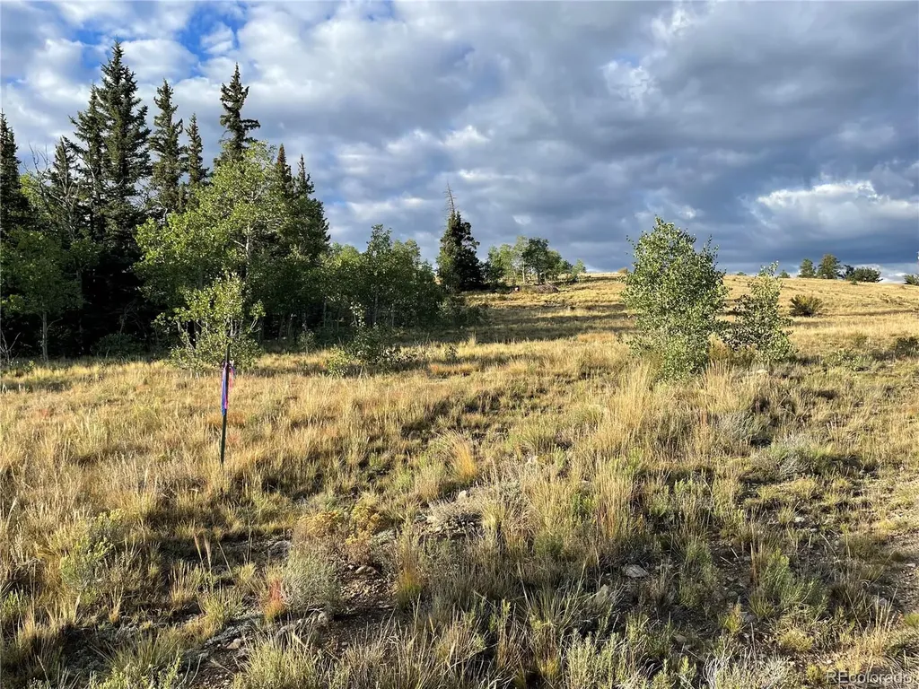 66 Chestnut Lane Como CO 80432