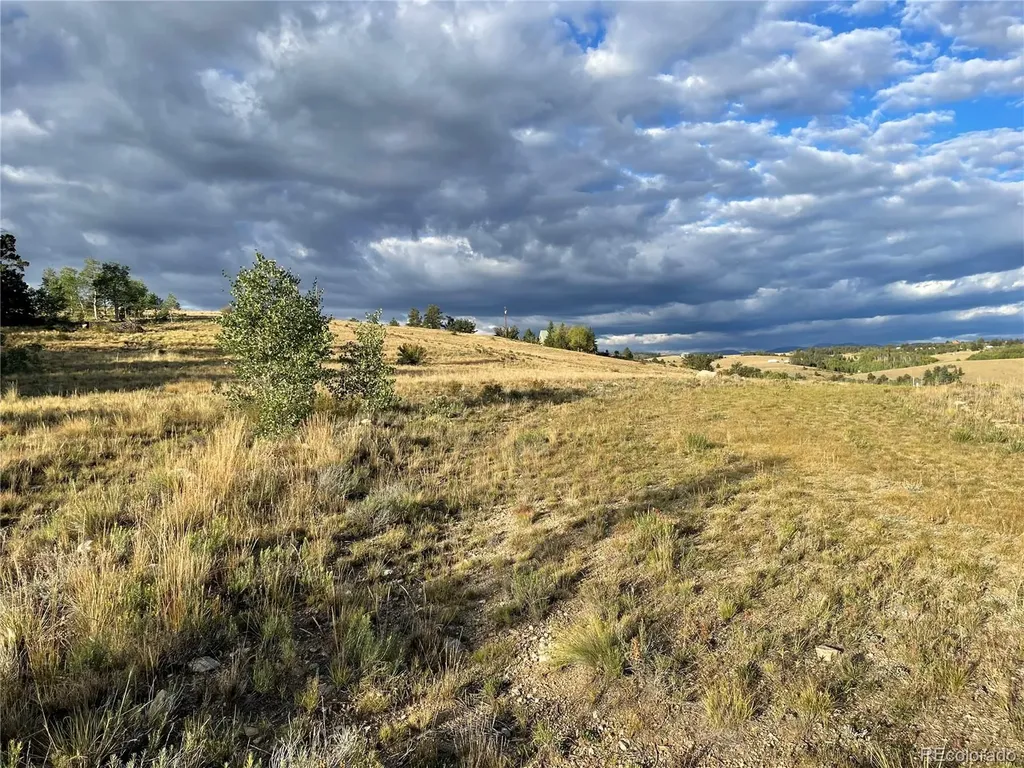 66 Chestnut Lane Como CO 80432