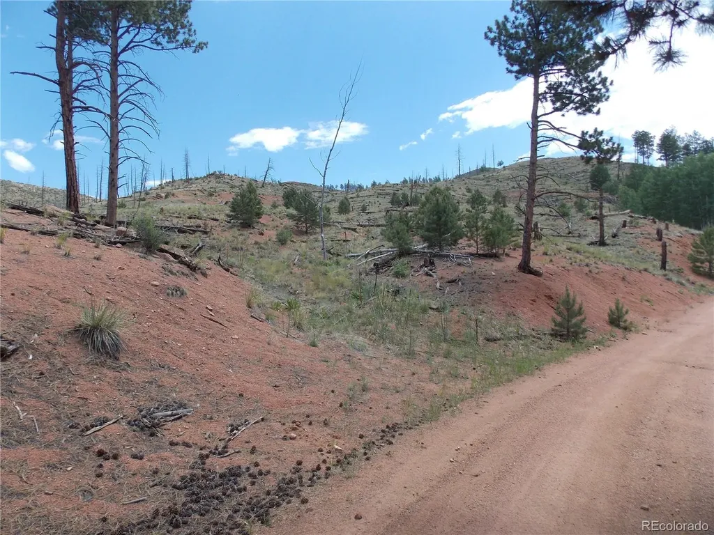 14691 Crooked Trail Road Woodland Park CO 80863