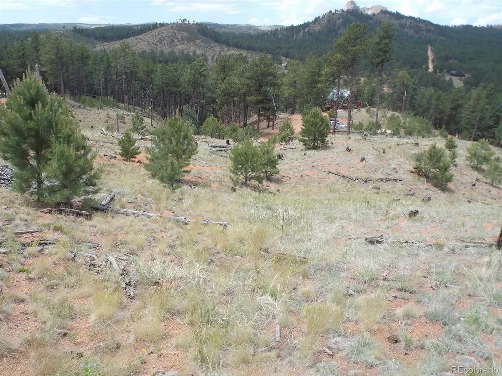14691 Crooked Trail Road Woodland Park CO 80863