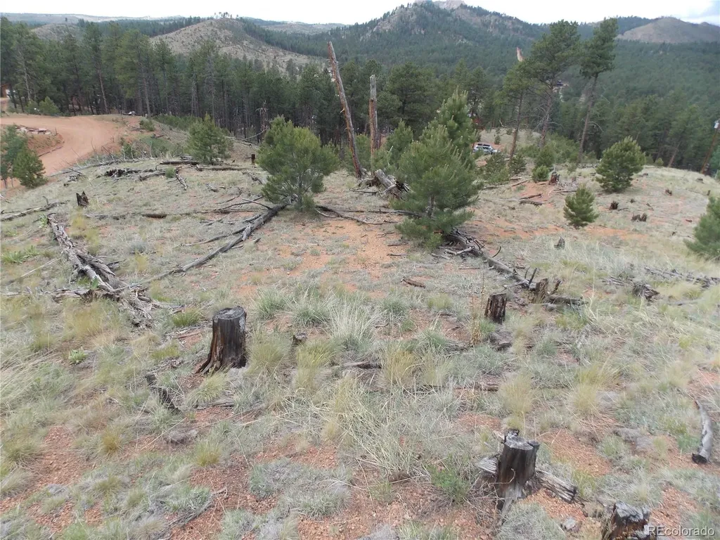 14691 Crooked Trail Road Woodland Park CO 80863