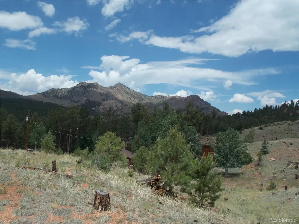 14691 Crooked Trail Road Woodland Park CO 80863