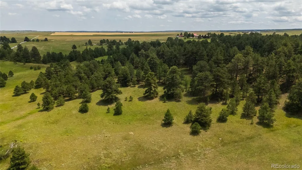 11771 E Smith Road Elbert CO 80106