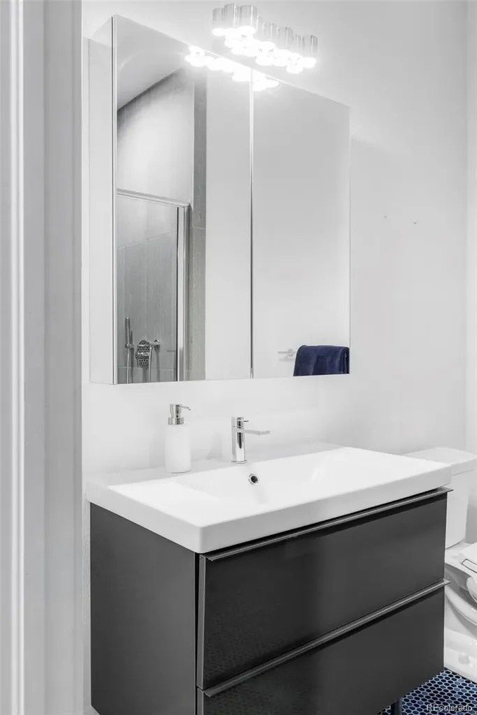 2740 Hazel Court Denver CO 80211