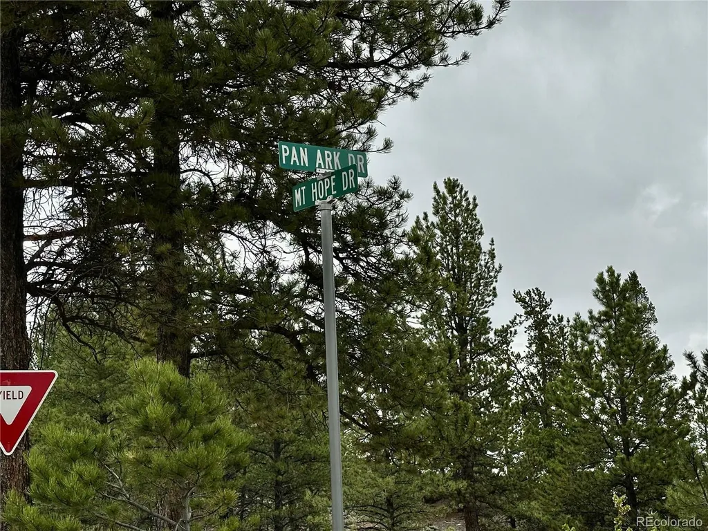 9 Mount Hope Drive Twin Lakes CO 81251
