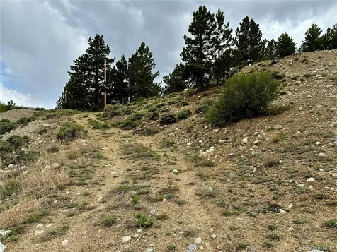 9 Mount Hope Drive Twin Lakes CO 81251