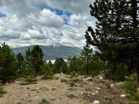 9 Mount Hope Drive Twin Lakes CO 81251