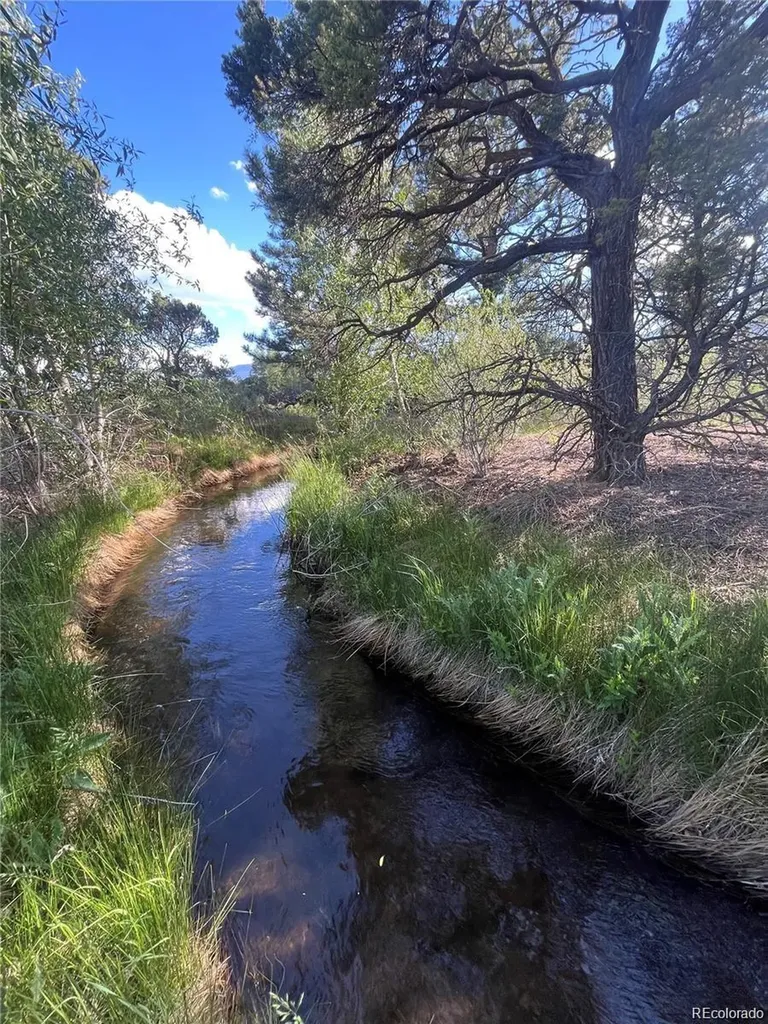 33077 Us Highway 24 Buena Vista CO 81211