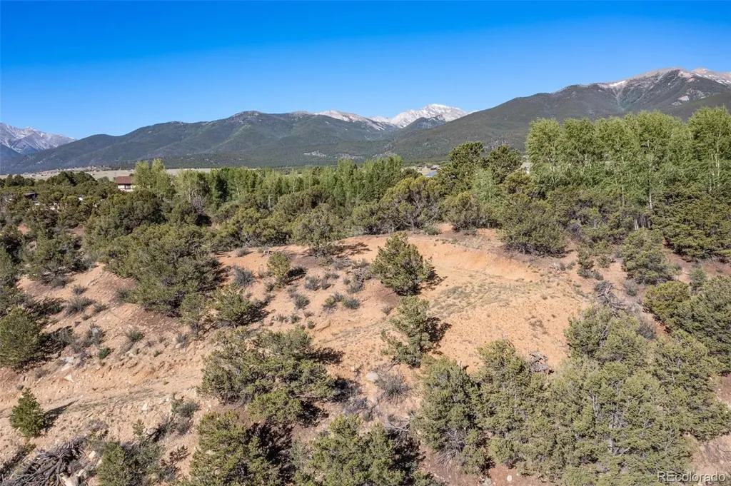 33077 Us Highway 24 Buena Vista CO 81211