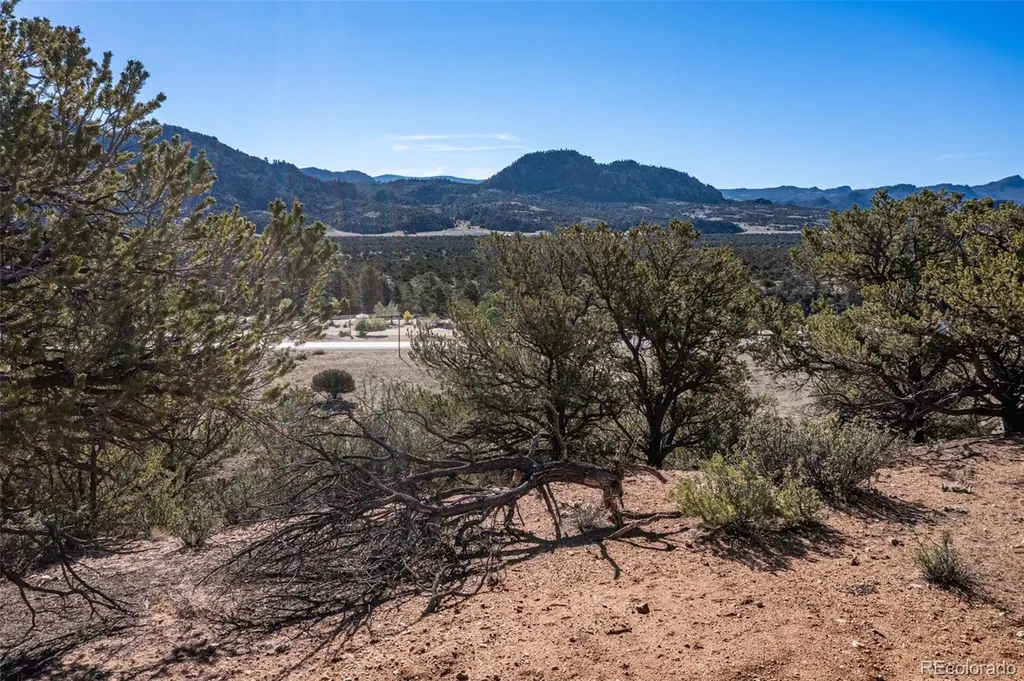33077 Us Highway 24 Buena Vista CO 81211