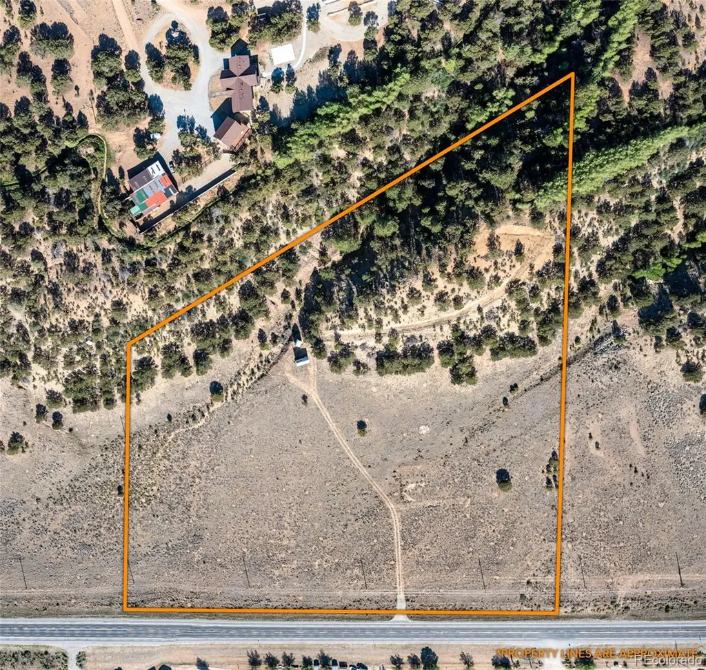 33077 Us Highway 24 Buena Vista CO 81211