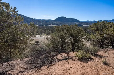 33077 Us Highway 24 Buena Vista CO 81211
