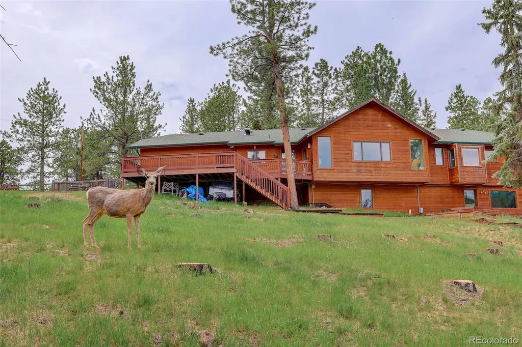 136 Nova Lane Pine CO 80470