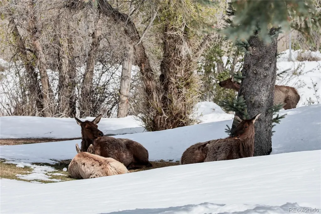 836 Vista Lane Estes Park CO 80517
