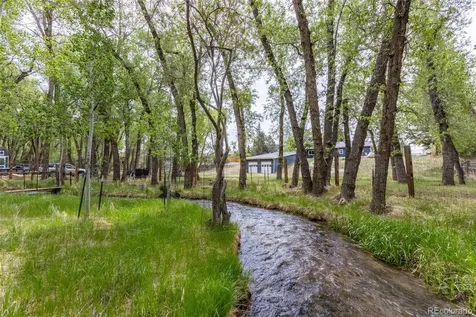 15171 County Road 306 Buena Vista CO 81211