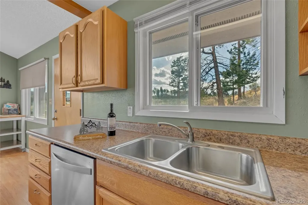 81 Hedges Circle Woodland Park CO 80863