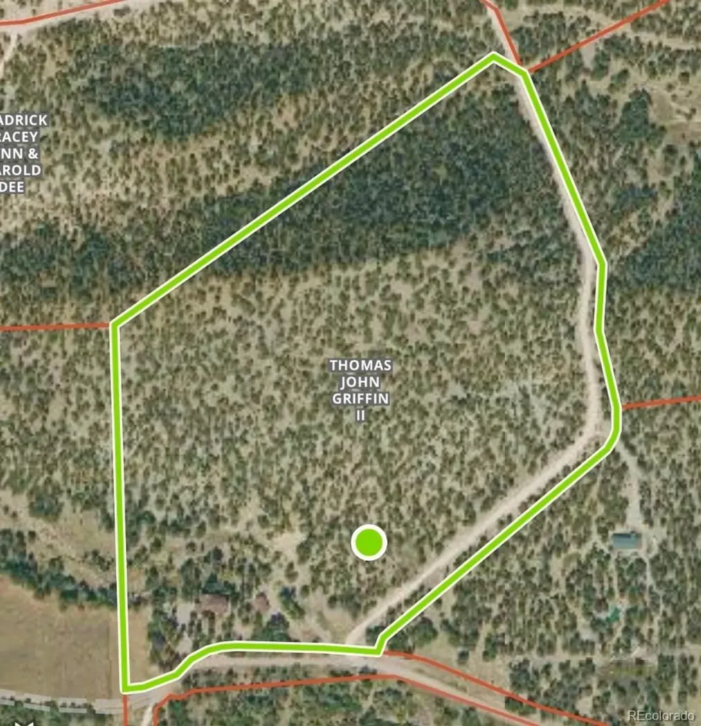 990 Hamilton Creek Road Coaldale CO 81222