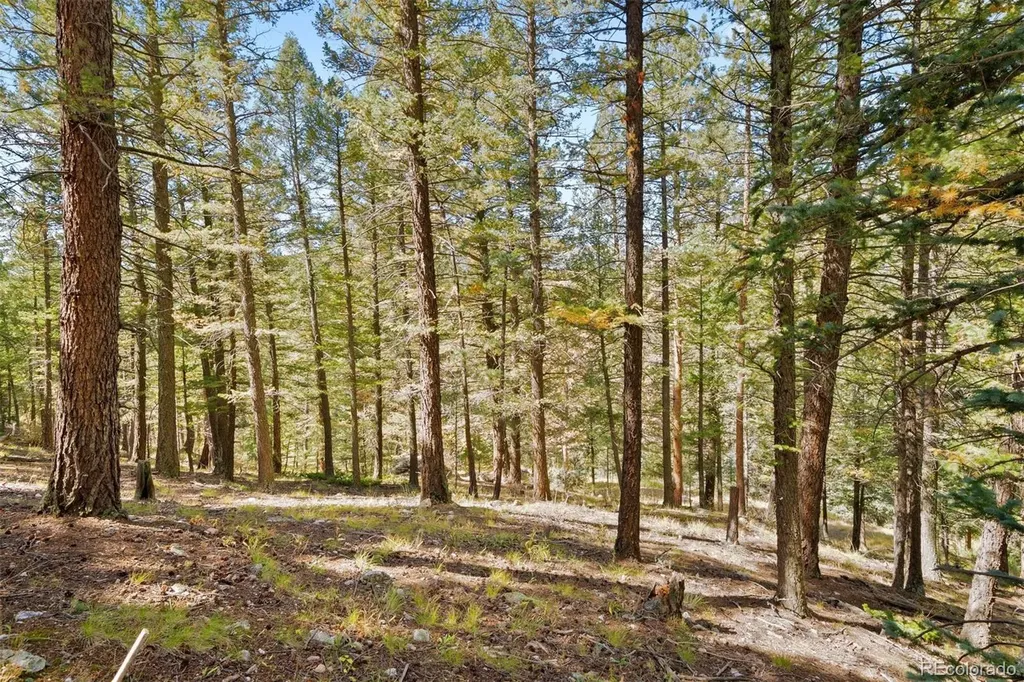 Lot 83 Conifer Drive Evergreen CO 80439