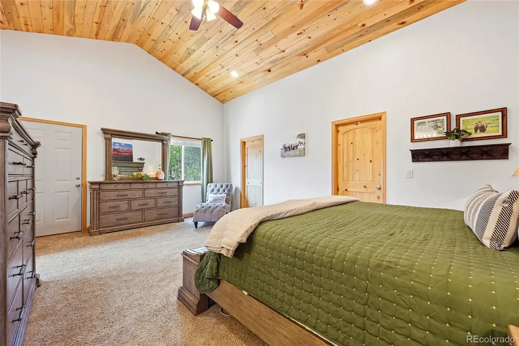 705 Gold Flake Terrace Bailey CO 80421