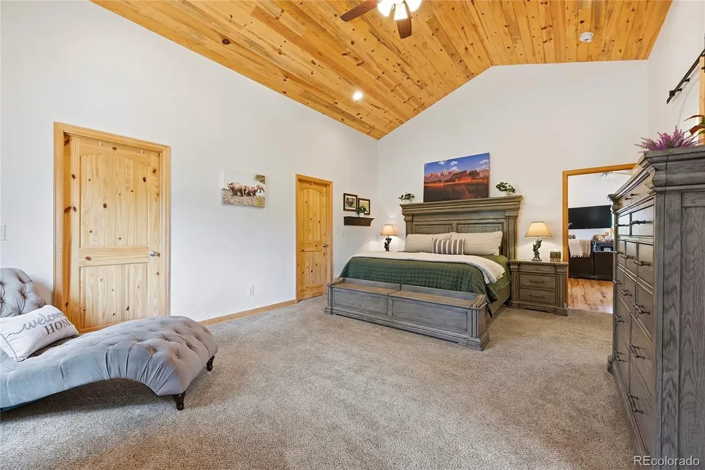 705 Gold Flake Terrace Bailey CO 80421