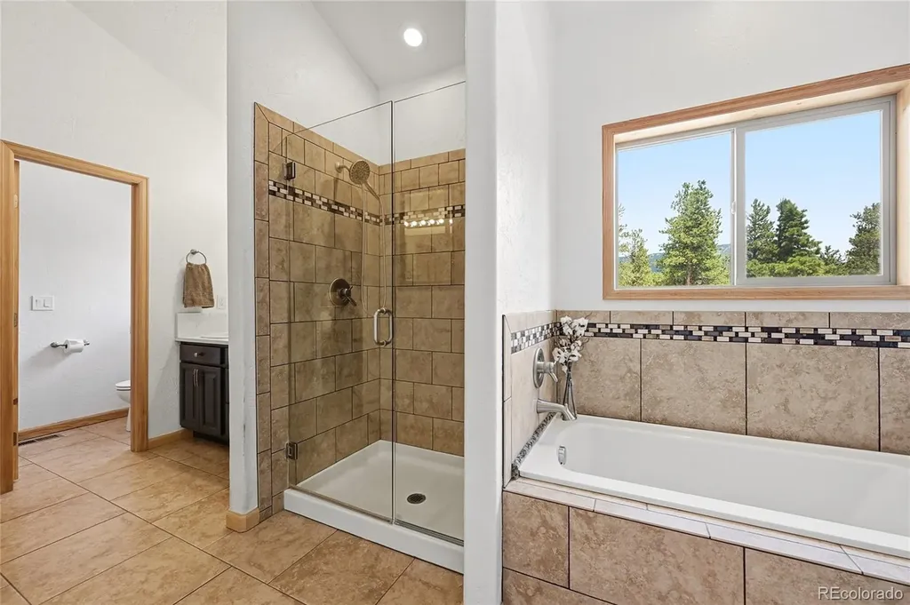 705 Gold Flake Terrace Bailey CO 80421