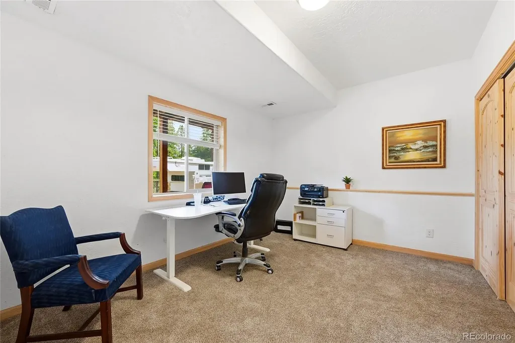 705 Gold Flake Terrace Bailey CO 80421