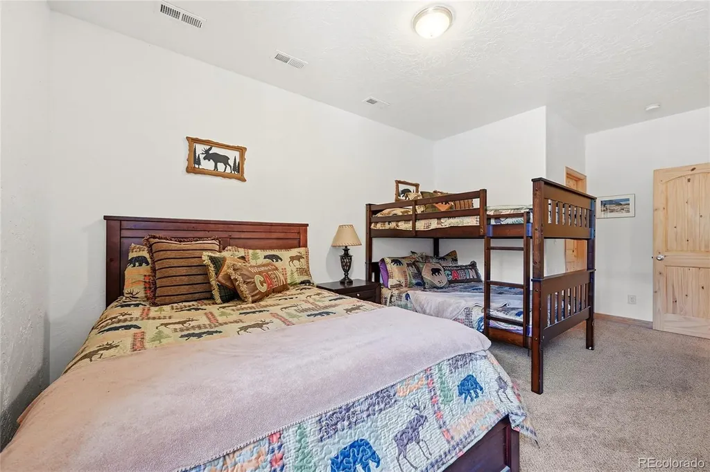705 Gold Flake Terrace Bailey CO 80421