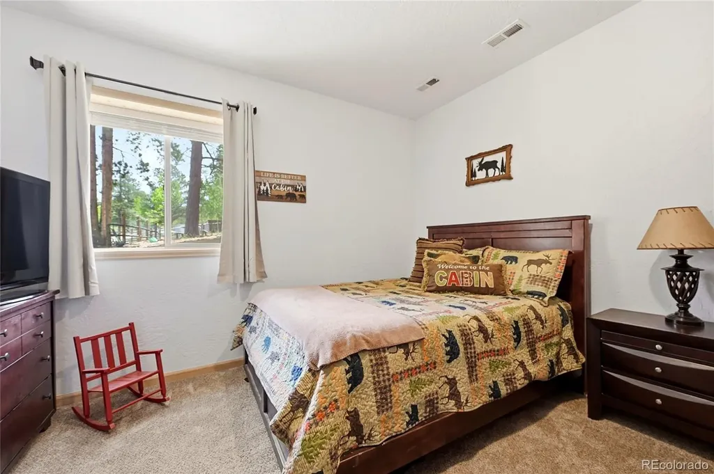 705 Gold Flake Terrace Bailey CO 80421