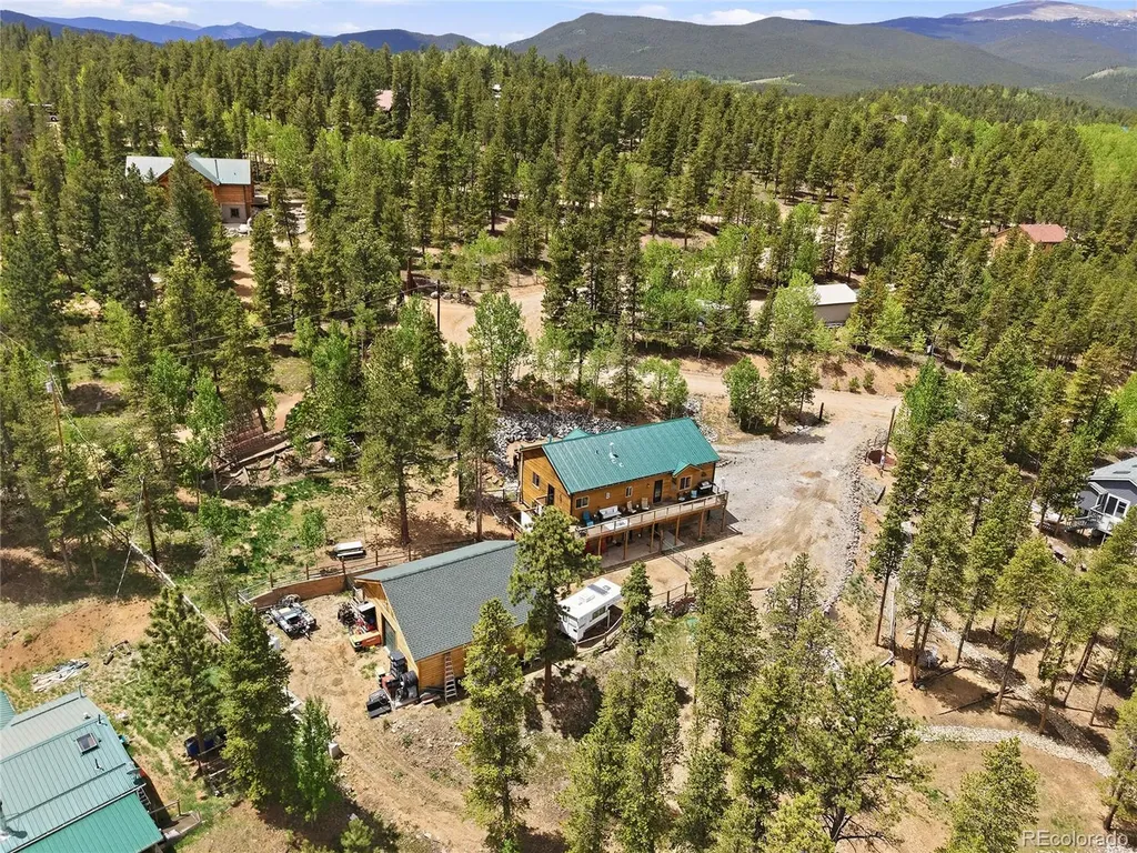 705 Gold Flake Terrace Bailey CO 80421