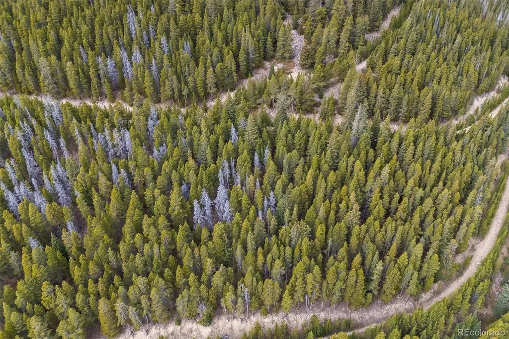 773 Harris Circle Idaho Springs CO 80452