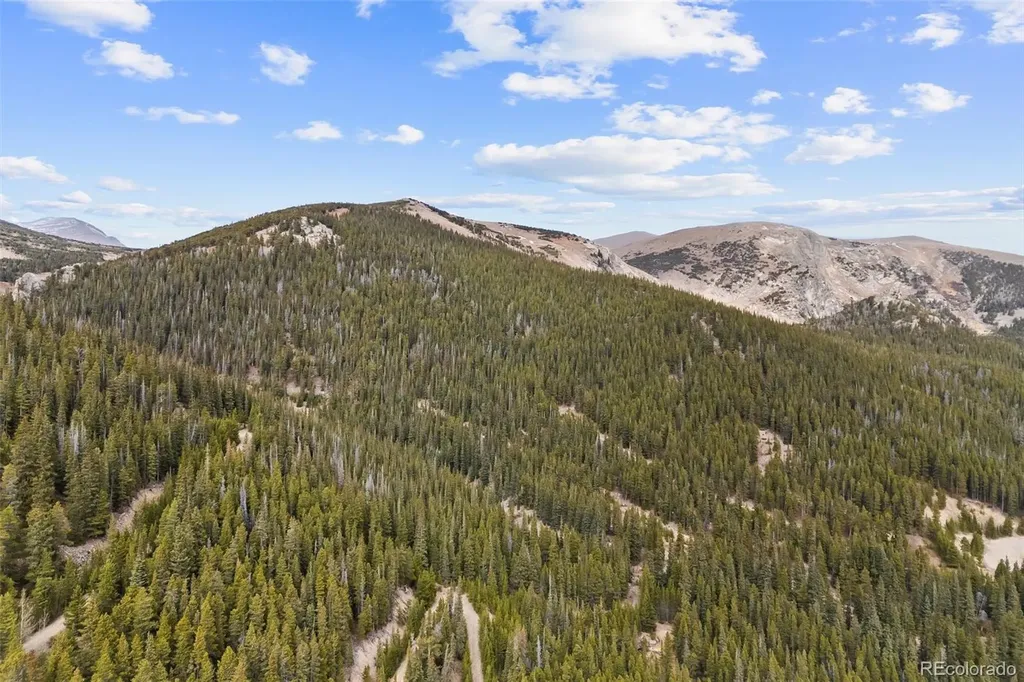 773 Harris Circle Idaho Springs CO 80452