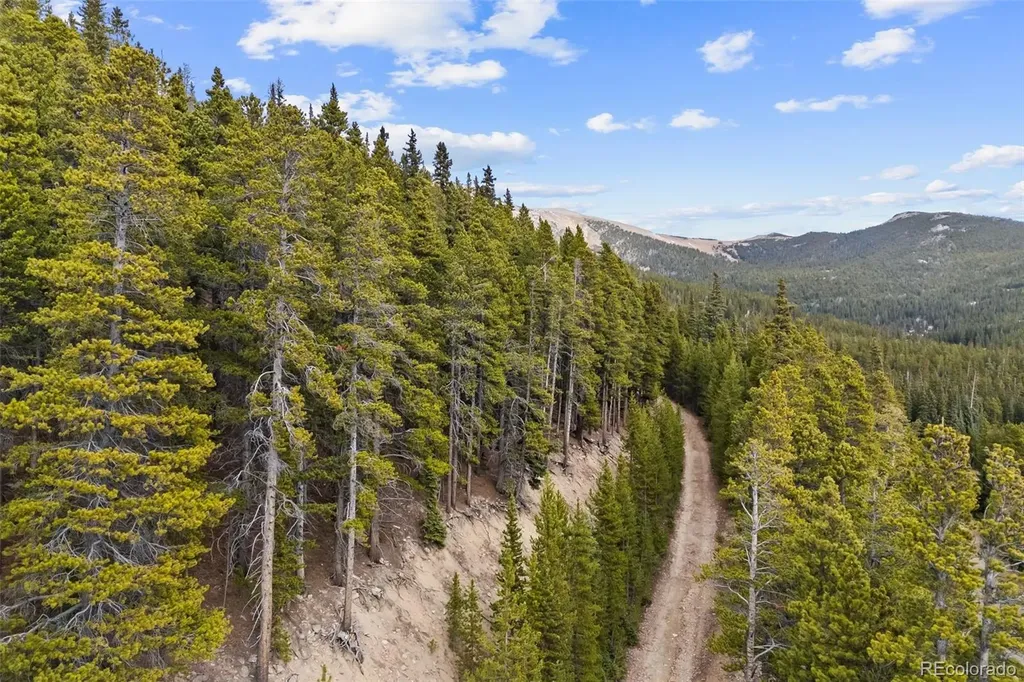 773 Harris Circle Idaho Springs CO 80452