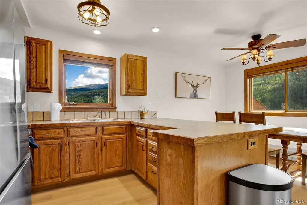 2399 Co Road 6 Alma CO 80420
