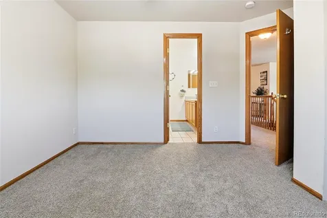 990 Quarterhorse Trail Castle Rock CO 80104