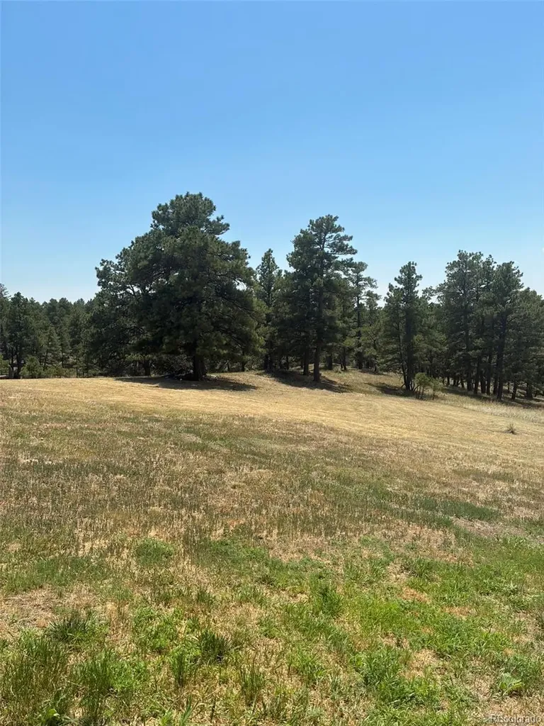 24074 Emerald Trail Deer Trail CO 80105
