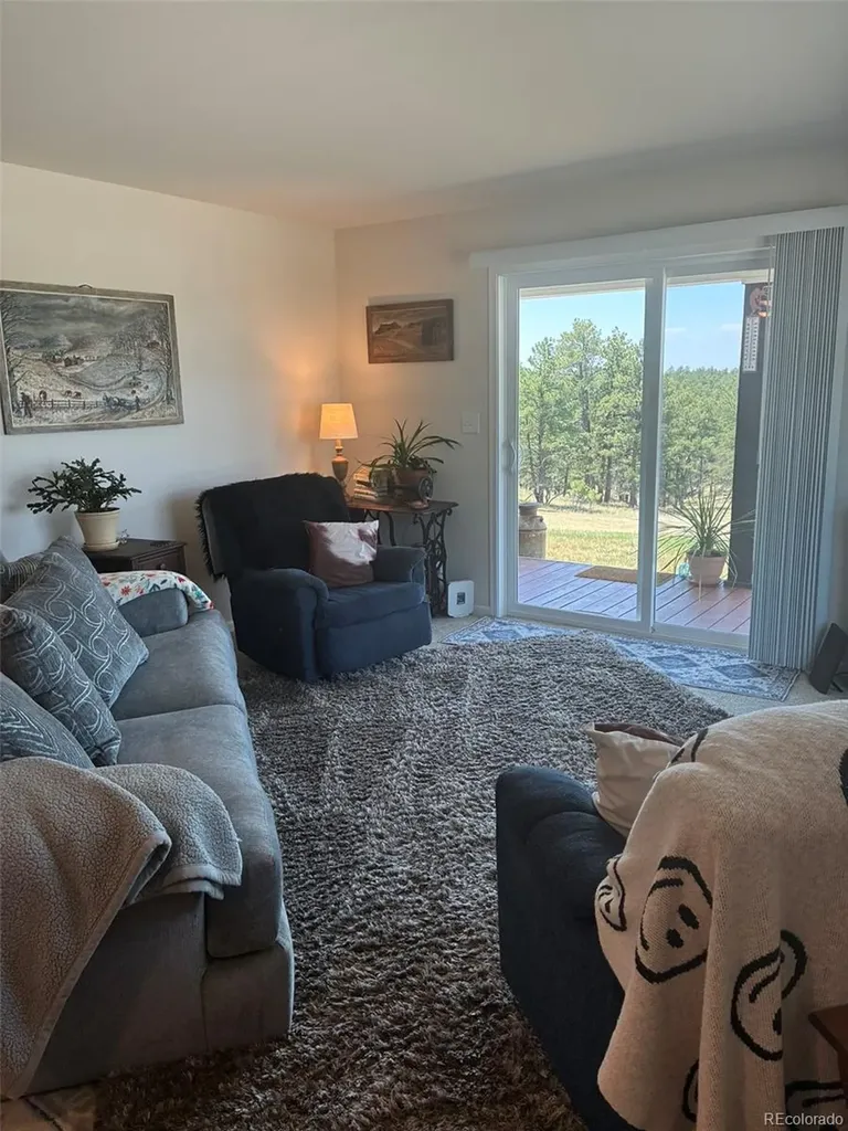 24074 Emerald Trail Deer Trail CO 80105