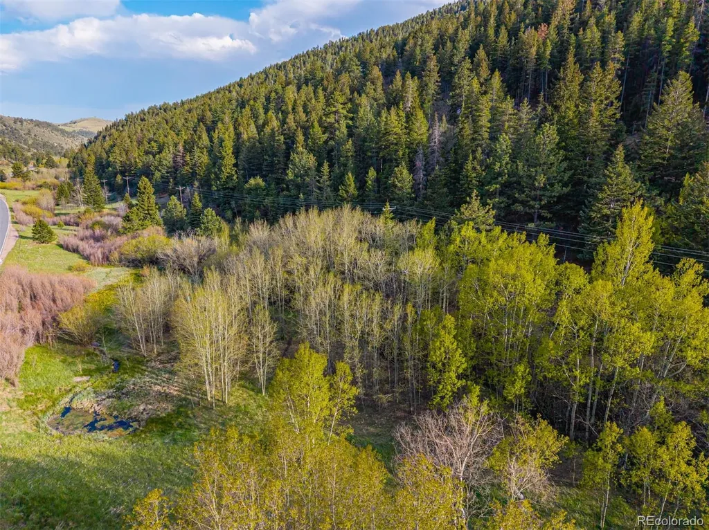 5896 Peregrine Trail Golden CO 80403
