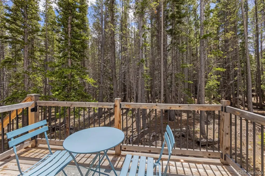 14 Deer Road Idaho Springs CO 80452