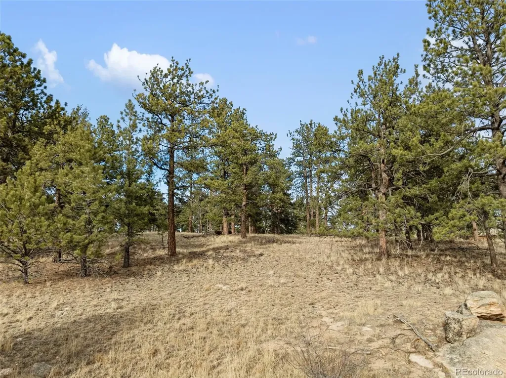 263 Valley Drive Lake George CO 80827