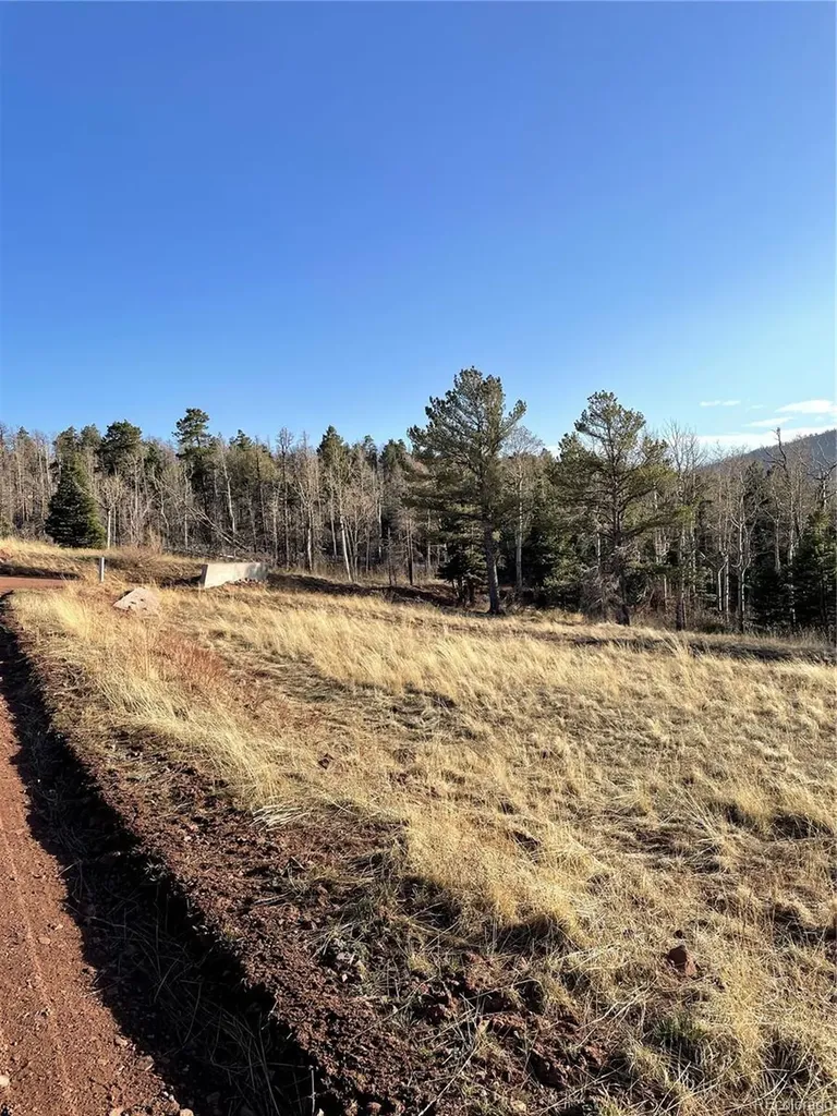 2113 Packer Place Fort Garland CO 81133