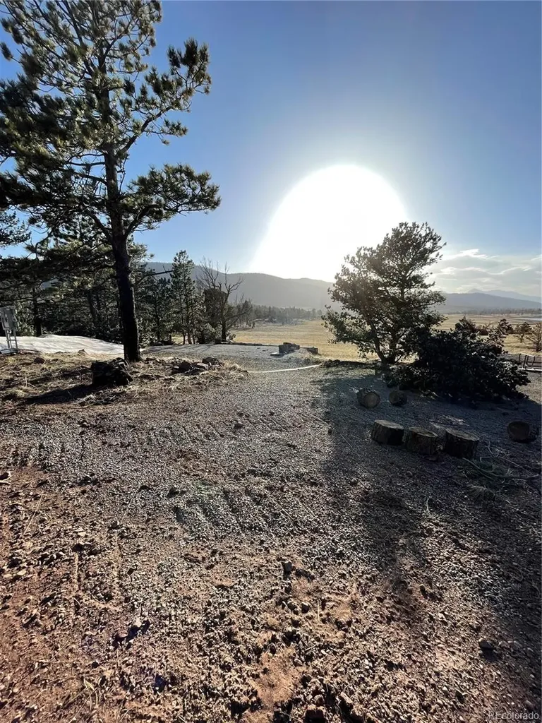 2113 Packer Place Fort Garland CO 81133