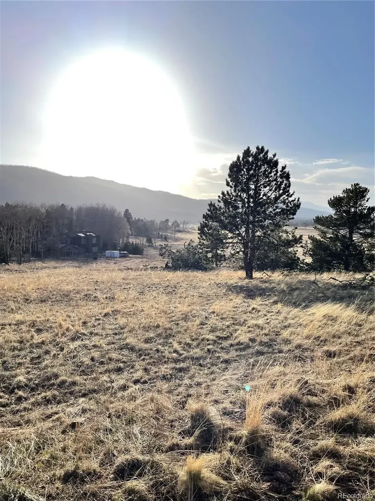 2113 Packer Place Fort Garland CO 81133