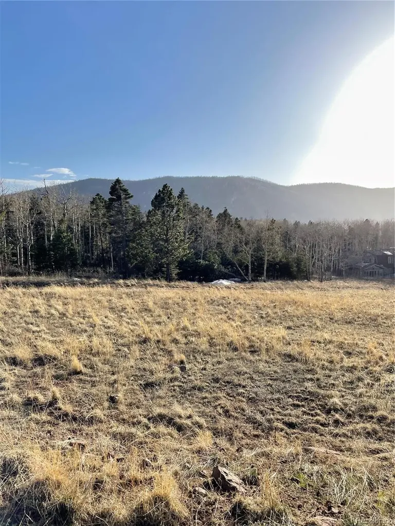 2113 Packer Place Fort Garland CO 81133