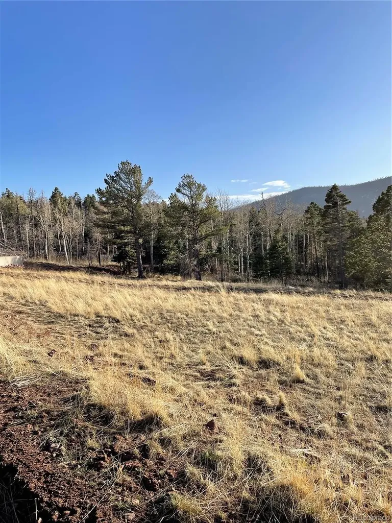 2113 Packer Place Fort Garland CO 81133