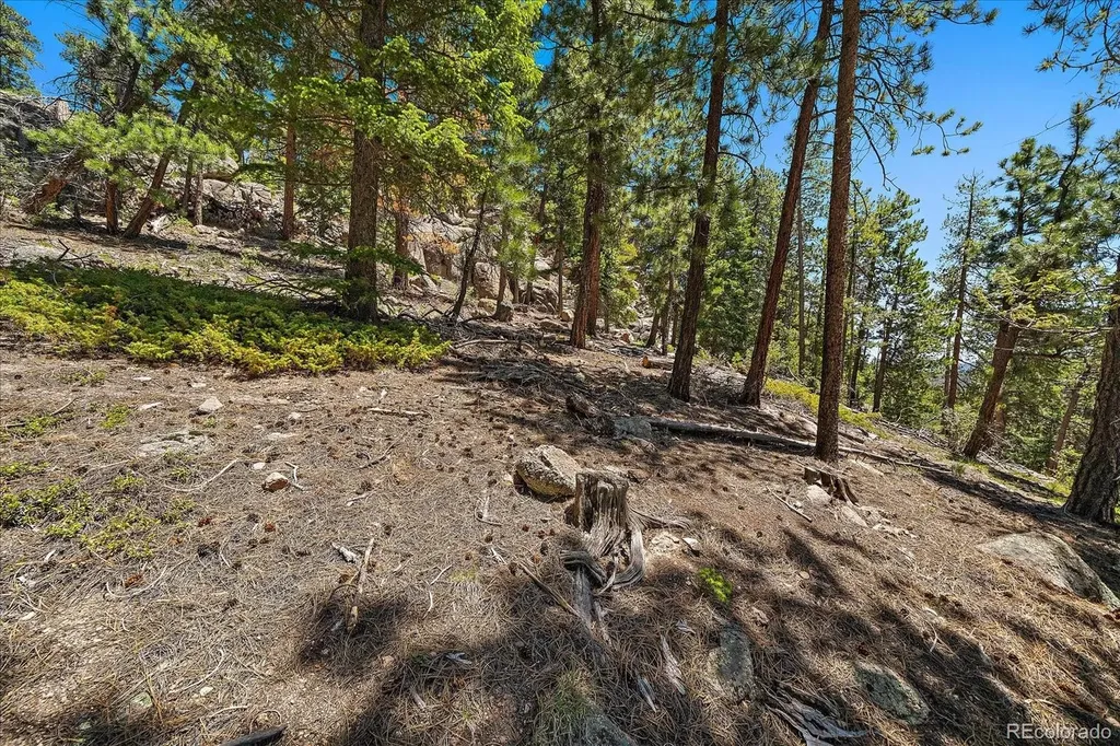 0 Skunk Alley Evergreen CO 80439