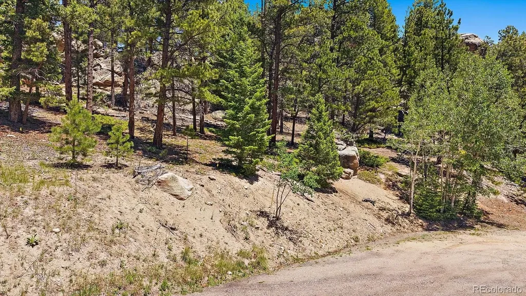 0 Skunk Alley Evergreen CO 80439