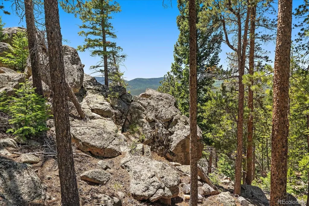 0 Skunk Alley Evergreen CO 80439