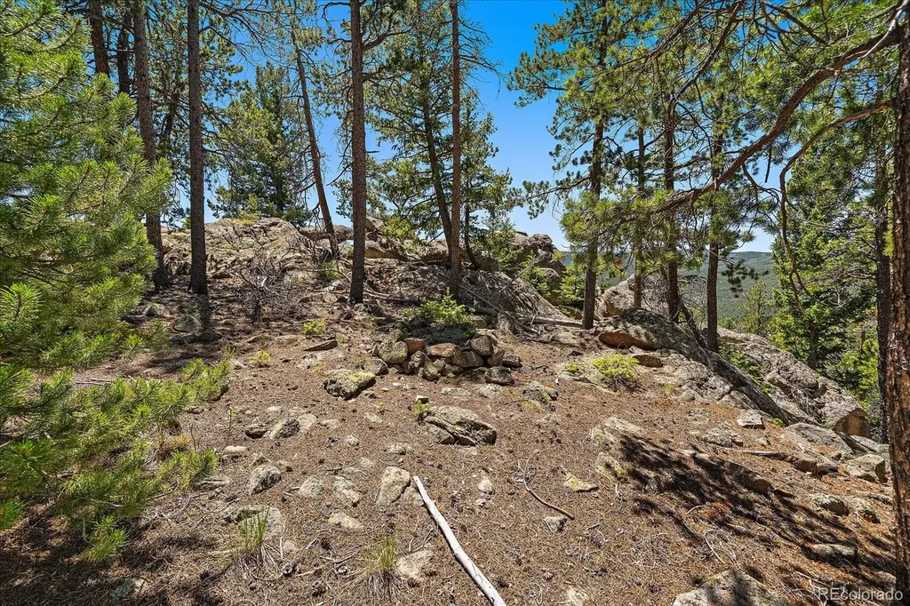 0 Skunk Alley Evergreen CO 80439