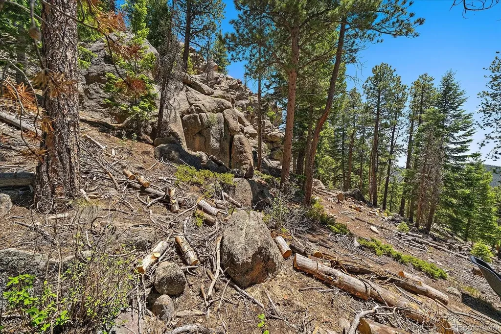 0 Skunk Alley Evergreen CO 80439